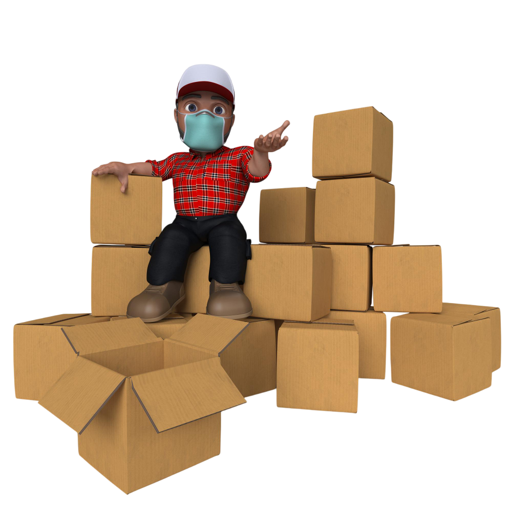 Packaging Materials and Packing Process Illustration by Gayatri Packaging Jaipur